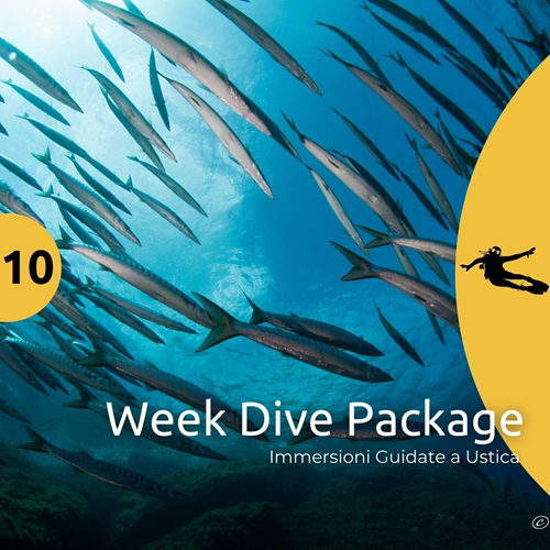 Ustica Week - 10 Dives